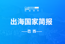 凯发K8GO GLOBAL | 巴西国家简报